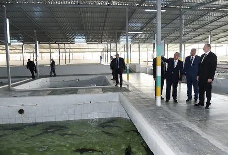 Yevlaxda balıqartırma müəssisəsi istifadəyə verilib