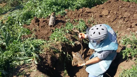 ​Tərtər və Tovuz rayonlarında partlamamış hərbi sursatlar aşkarlanıb