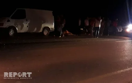 Ağstafada maşın iribuynuzlu heyvanı vuraraq öldürüb - FOTO