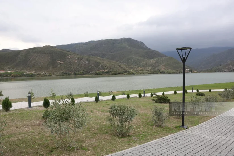 Suqovuşan qəsəbəsindəki istirahət parkında 5 minə yaxın ağac və kol əkilib