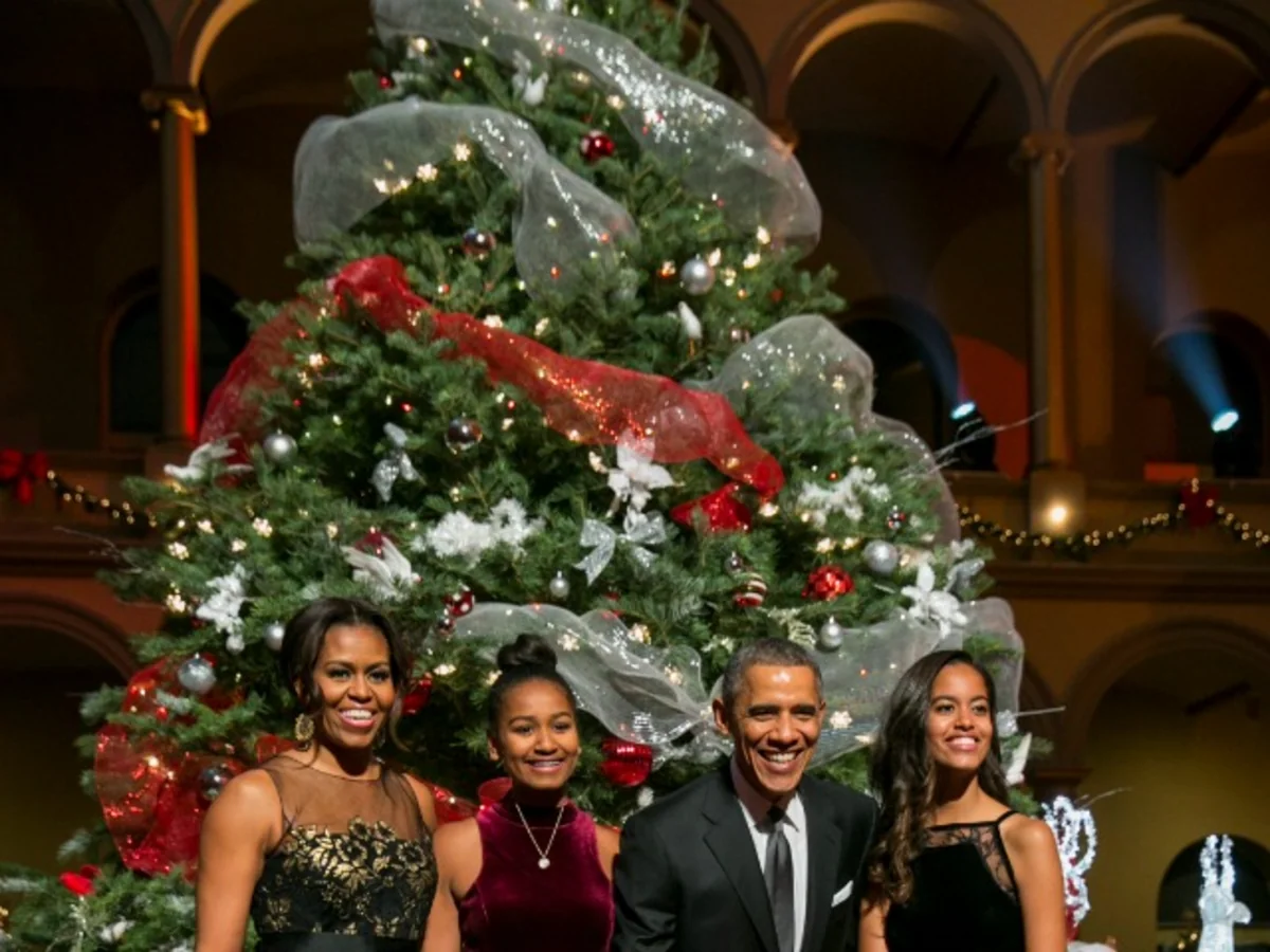 Obama to Visit Marines in Hawaii During Christmas Holidays: White House