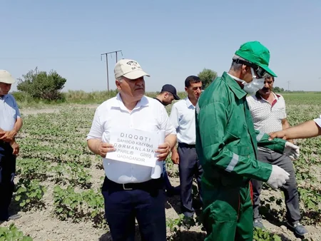 Salyan və Neftçalada pambıq sahələrində texniki təhlükəsizlik qaydaları ilə bağlı təlim keçirilib
