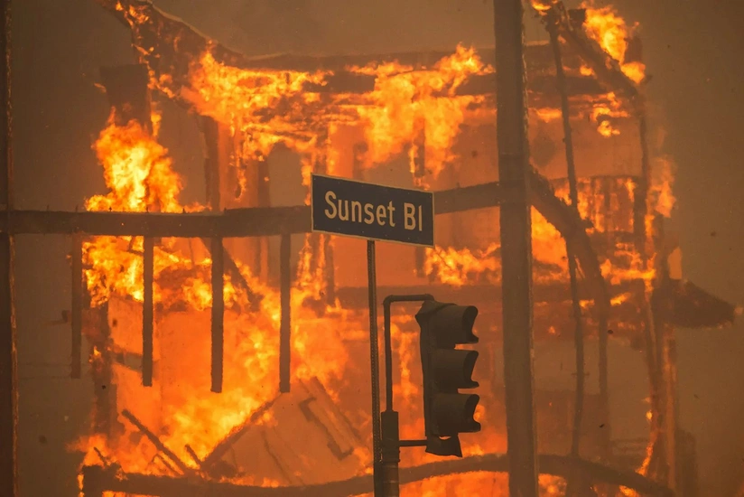 Meşə yanğınları səbəbindən Hollivudun bir hissəsi təxliyə edilir - YENİLƏNİB