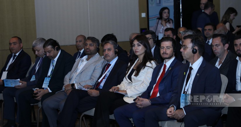 Tural Vəlibəyov: Ötən il əmlakın leqallaşdırılması ilə bağlı cinayətlərdən dövlətə 28 milyon manatlıq ziyan dəyib