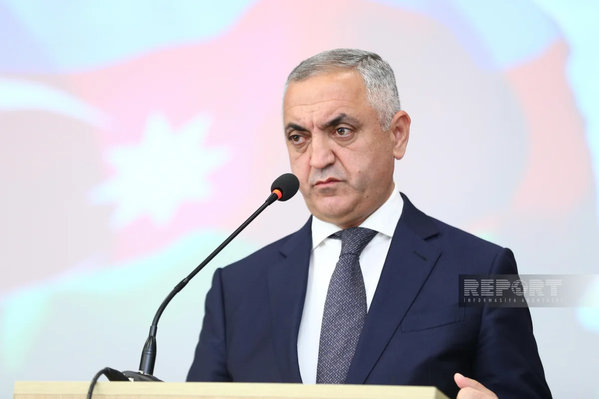 Xüsusi nümayəndə: Ermənistan işğal dövründə Azərbaycanın təbii sərvətlərini talan edib