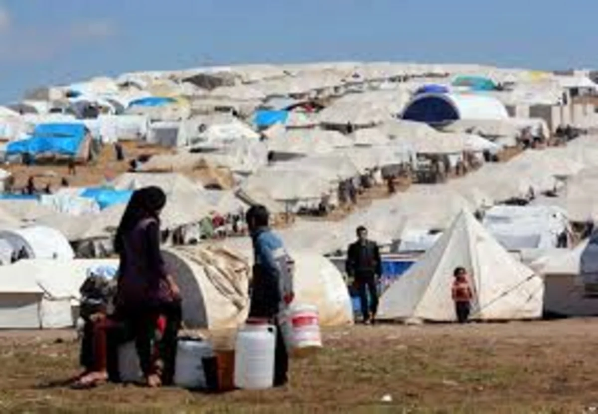 Dünyada 244 milyon insan doğulduğu ölkədən kənarda yaşayır