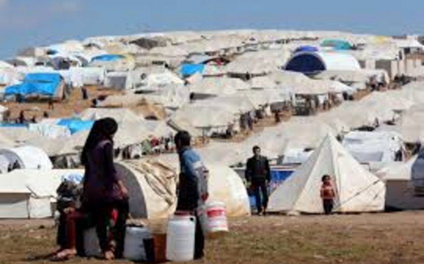 Dünyada 244 milyon insan doğulduğu ölkədən kənarda yaşayır