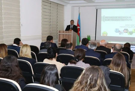 Azərbaycana meyvə tingi idxalı tədricən azaldılacaq