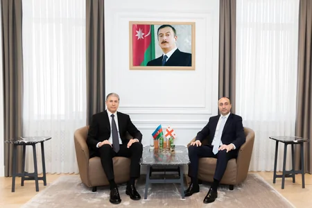 Vilayət Eyvazov gürcüstanlı həmkarı ilə görüşüb
