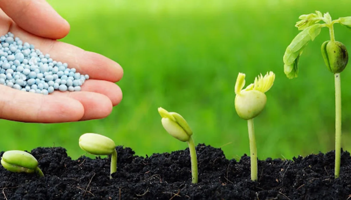 Импорт удобрений в Азербайджан резко сократился