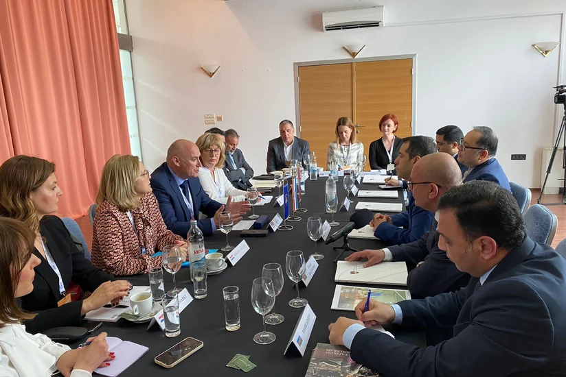 В Хорватии обсуждены вопросы разминирования освобожденных территорий Азербайджана