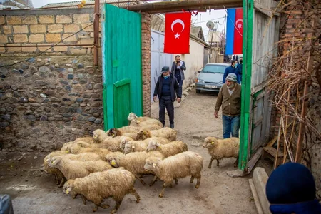 Bir qrup şəhid ailəsi və müharibə iştirakçısı üçün kiçik təsərrüfatlar yaradıldı