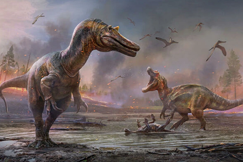 British scientists discover 2 new species of big dinosaurs