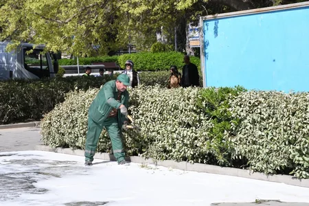 Bakıda növbəti ümumşəhər iməciliyi keçirilib, 551 küçə yuyulub - YENİLƏNİB