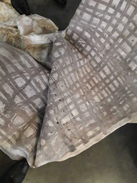 Azərbaycandan Avstraliyaya poçt bağlamasında 3 kq-dan çox narkotik maddə aparılmasının qarşısı alınıb