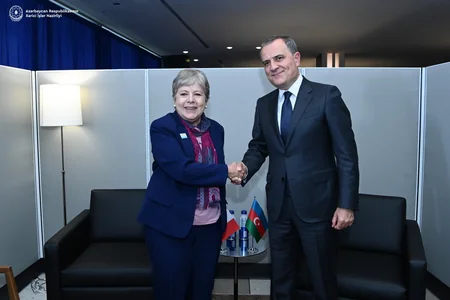 Jeyhun Bayramov briefs Mexican FM about Azerbaijan's COP29 Presidency