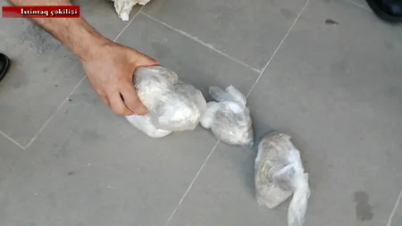 Bakıda onlayn narkotik satmaq istəyən qardaşlar saxlanıldı - VİDEO