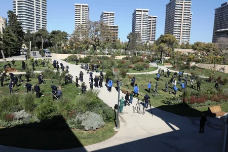 Bakıda növbəti ağacəkmə aksiyası keçirilib