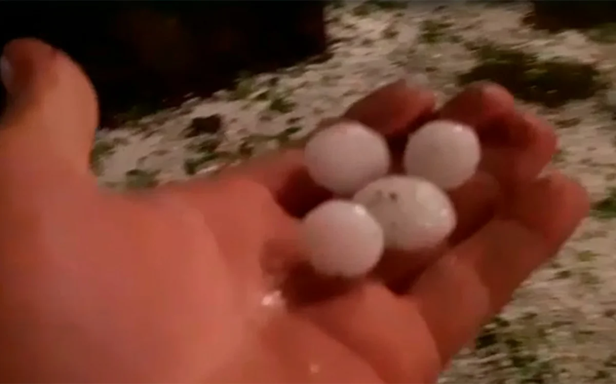 Qəbələ və Oğuz rayonlarına dolu düşüb