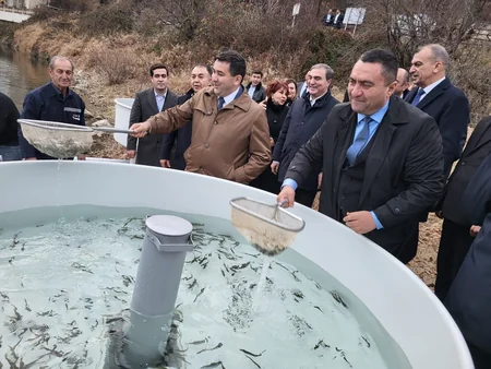 В Гейгельском национальном парке в водоем выпущено более 1 500 мальков