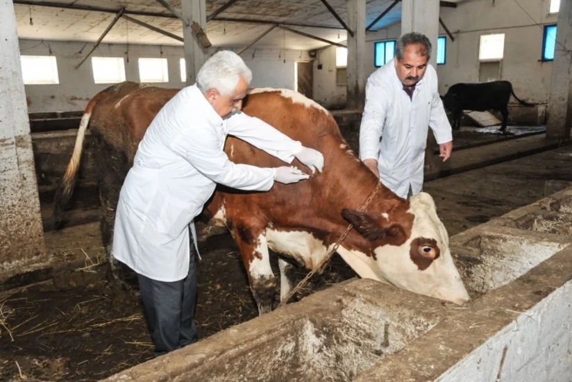 Azərbaycanda sahə baytarlıq məntəqələri ləğv ediləcək