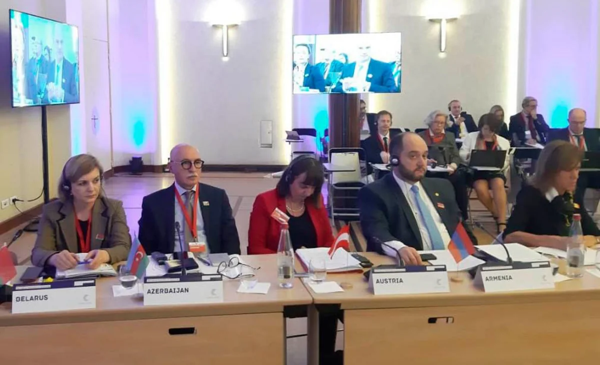 Nazir müavini Avropa Şurasına üzv dövlətlərin təhsil nazirlikləri rəhbərlərinin görüşündə iştirak edib