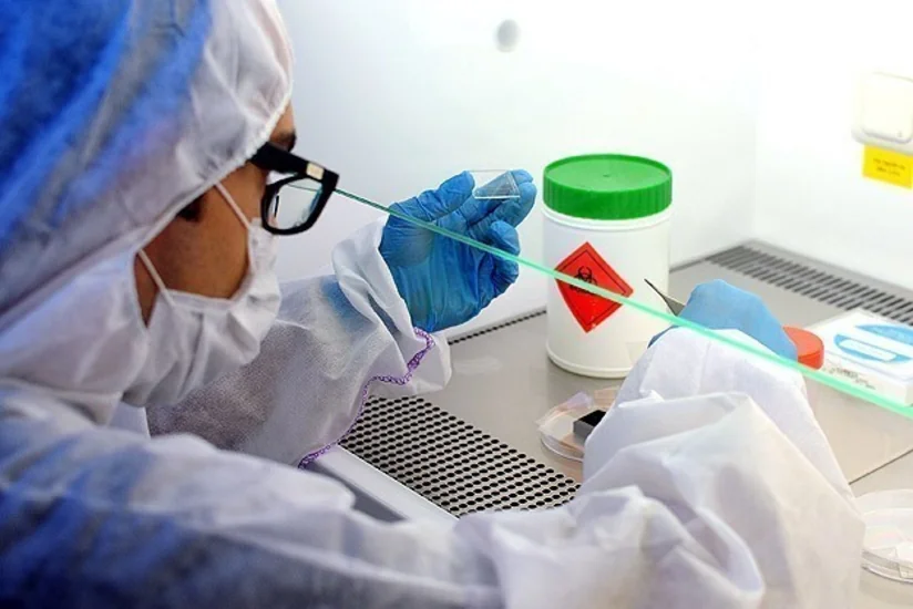 Bundan sonra Ebola virusunu 15 dəqiqədə aşkar etmək mümkün olacaq