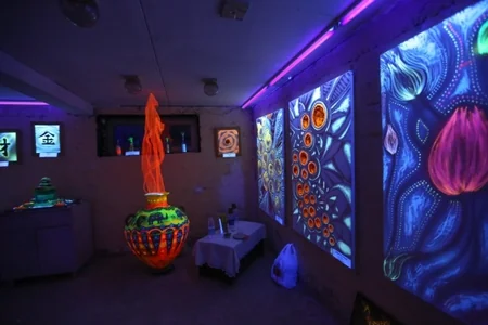 Azərbaycanda “Farhause” neon ev muzeyi açılıb