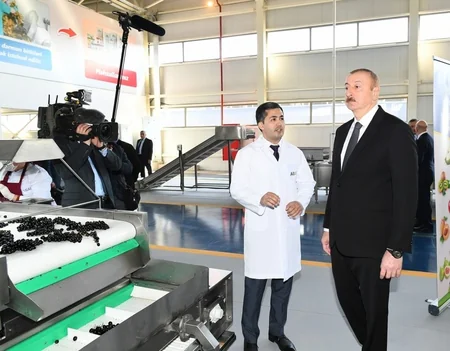 Tovuzda “ASAN Həyat” kompleksi istifadəyə verildi - YENİLƏNİB