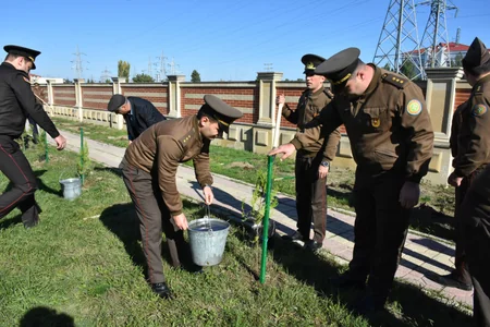 FHN-in regional mərkəzlərində ağacəkmə aksiyaları keçirilib