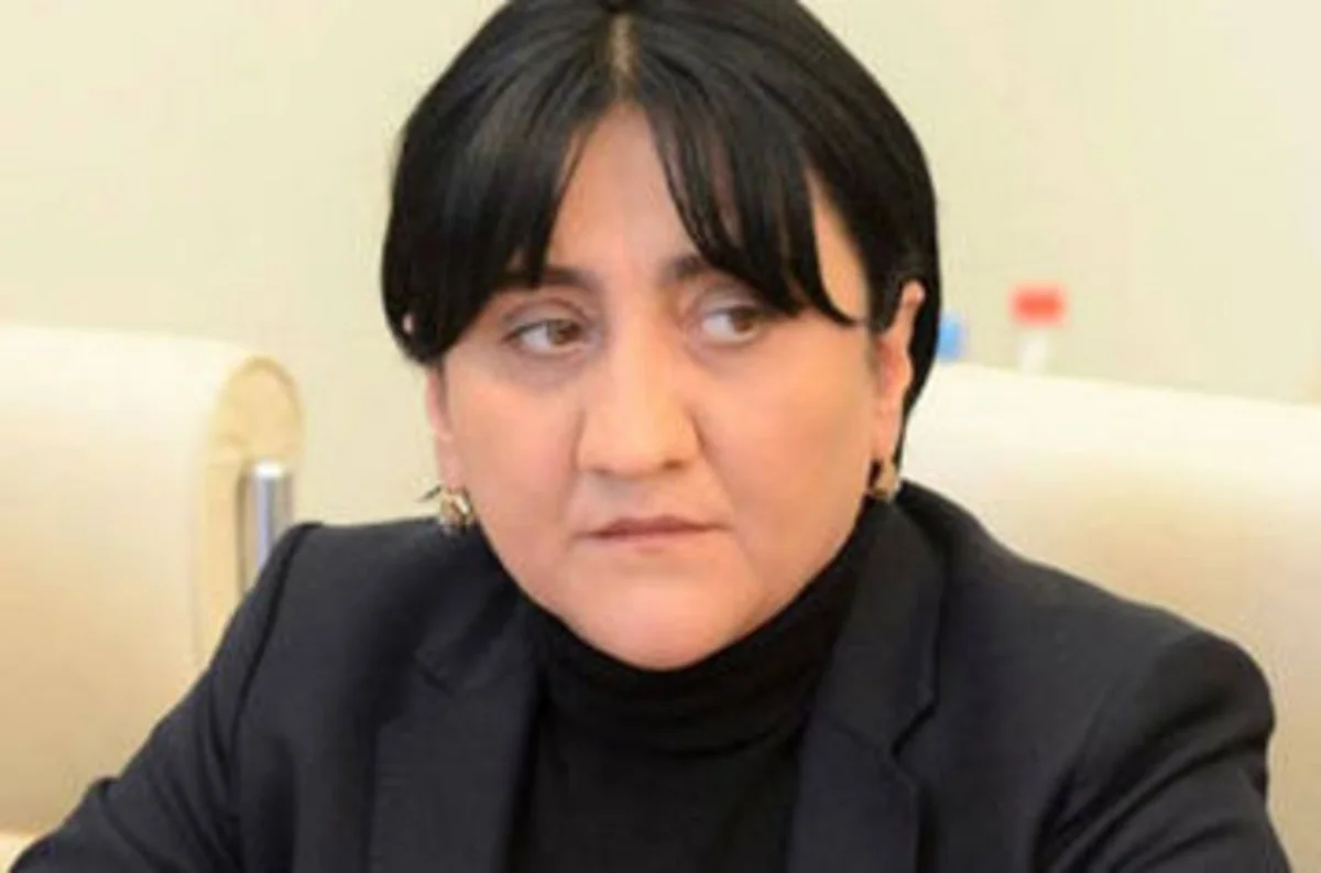 Gürcüstan müxalifəti payızda hökumətin istefası ilə bağlı aksiyalara başlayacaq