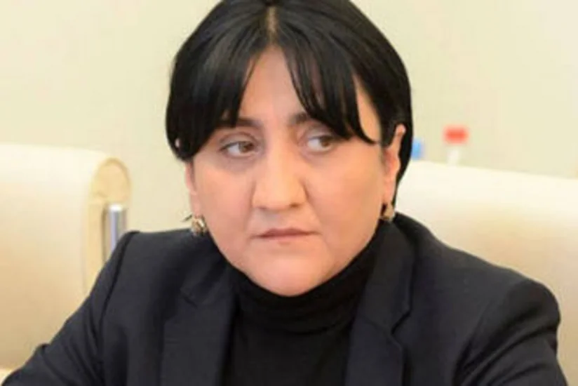 Gürcüstan müxalifəti payızda hökumətin istefası ilə bağlı aksiyalara başlayacaq