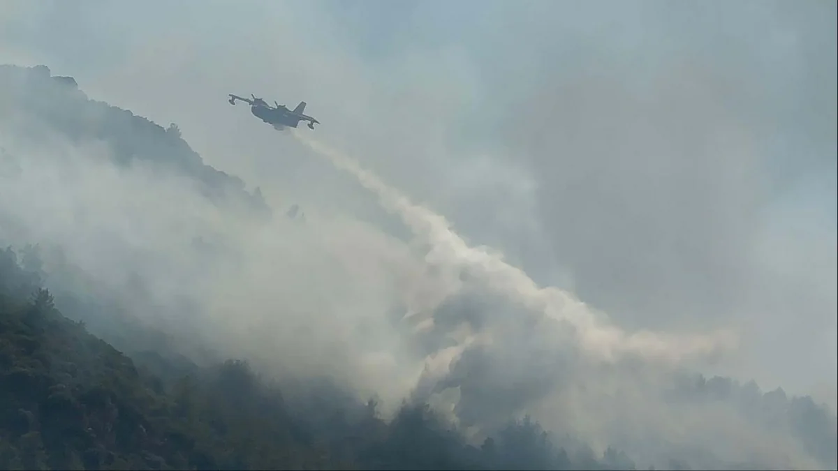 Bodrumda meşə yanır