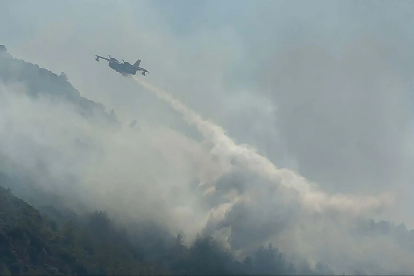 В Бодруме возник лесной пожар
