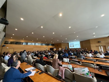 Fərid Qayıbov UNESCO-ya üzv ölkələrin Daimi nümayəndəliklərinin sessiyasında çıxış edib