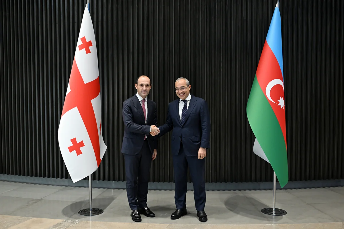 Azerbaijan, Georgia discuss prospects for joint projects
