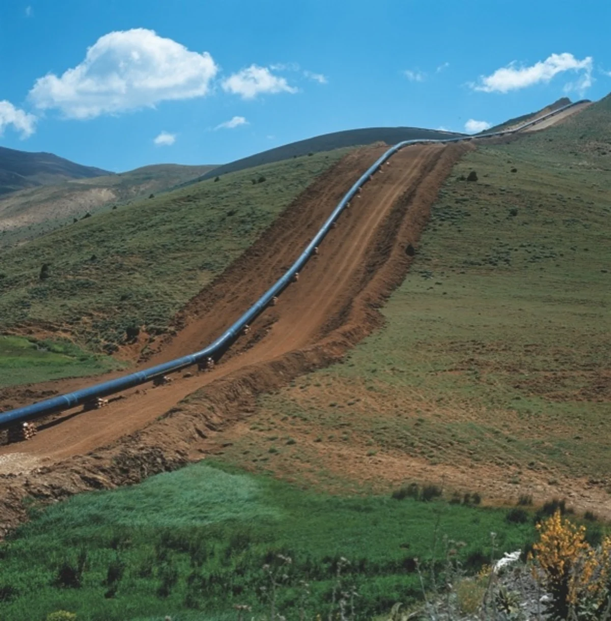 Net profit of BTC Co in 2023 revealed