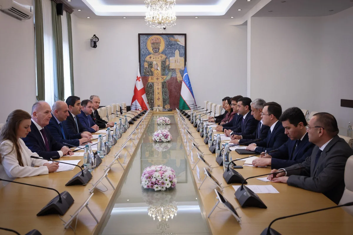 Georgia and Uzbekistan mull cooperation on Middle Corridor