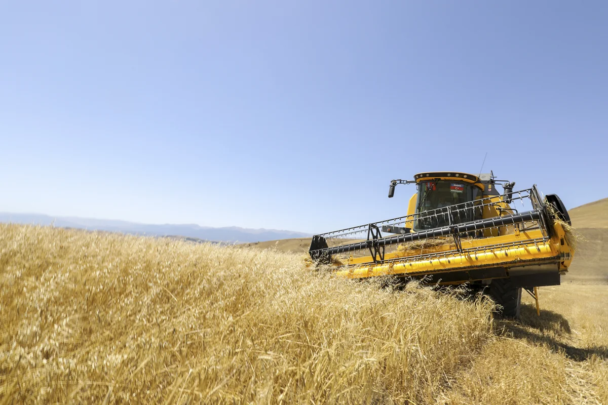 Nazirlik: Taxıl sahələrinin 30 %-də biçin başa çatıb