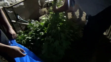 DİN əməliyyat keçirib, 11 nəfər saxlanılıb - VİDEO