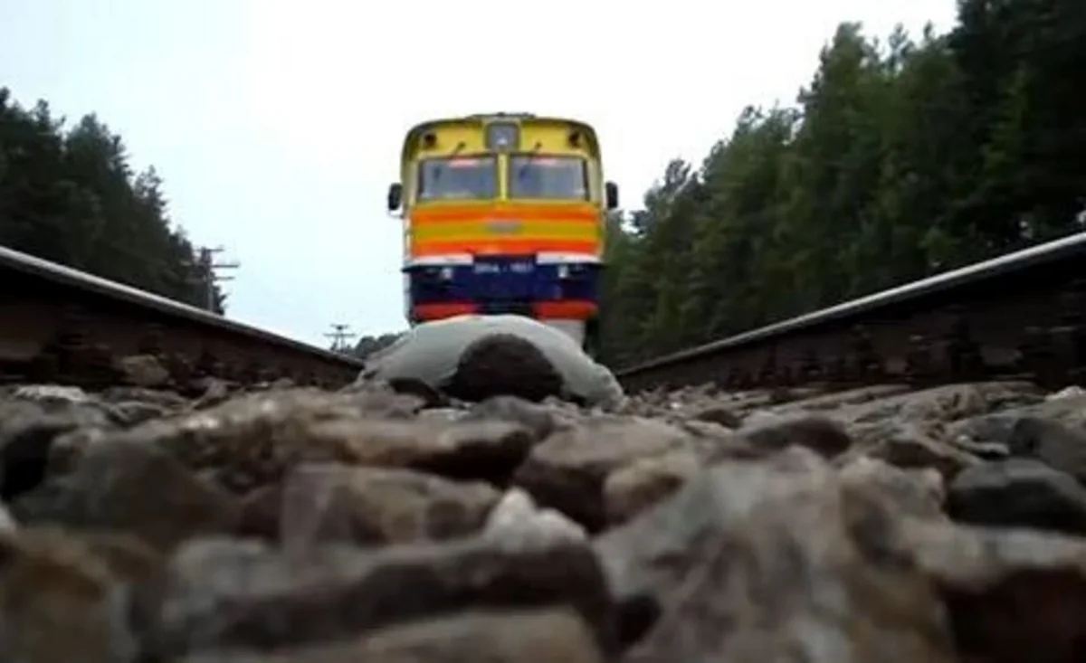 Train hits repairers in Belgium, dead and wounded reported