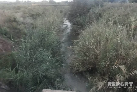 В Имишли 8-летний мальчик упал в канал и утонул - ВИДЕО