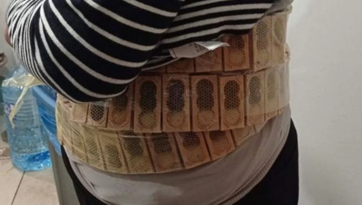 Man carrying 1,100 bees on his body detained on Georgian-Turkish border