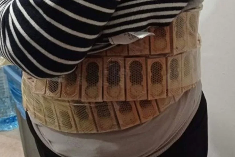 На грузино-турецкой границе задержан мужчина, перевозивший на своем теле 1100 пчел