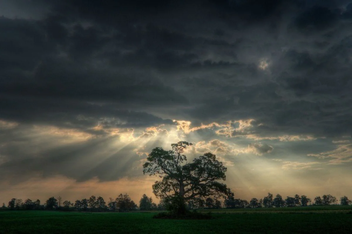 Weather forecast for Saturday announced