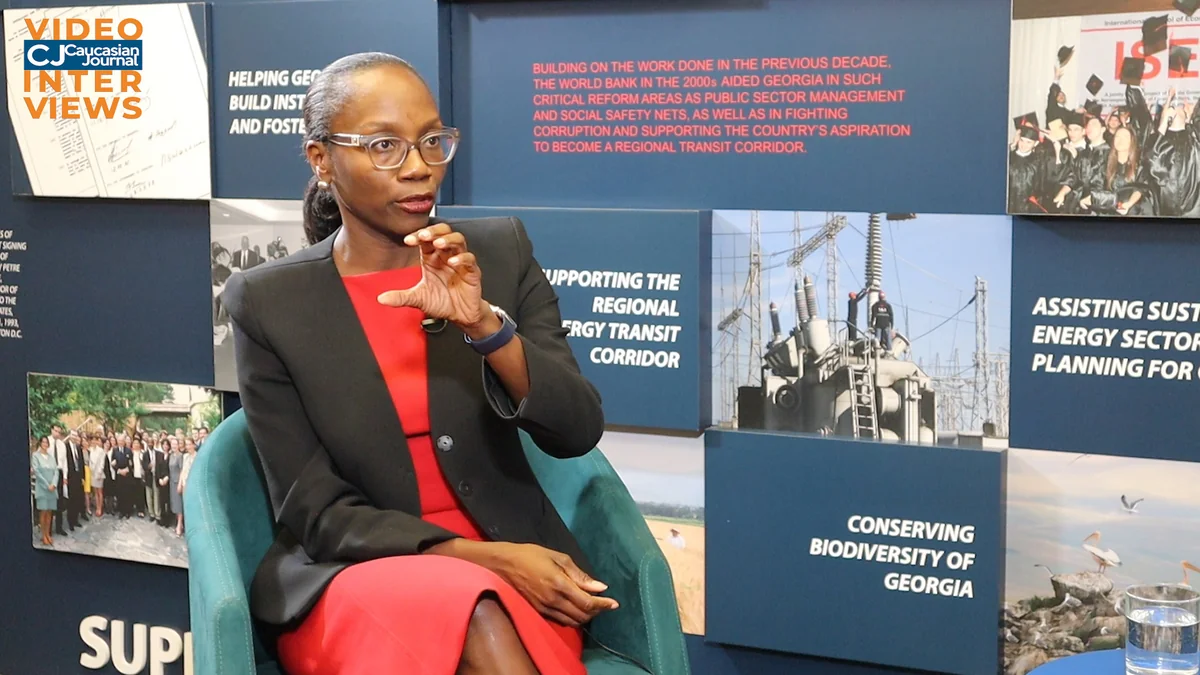 WB regional director mulls joint projects with Armenia