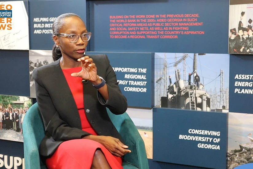 WB regional director mulls joint projects with Armenia