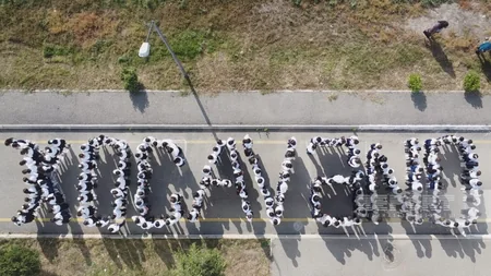 Kürdəmirdə Zəfər Günü münasibətilə fləş-mob keçirilib