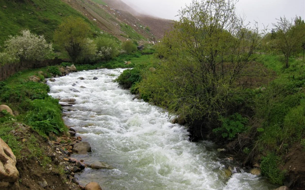 Envoy: Germany ready to cooperate in purification of water resources of liberated lands