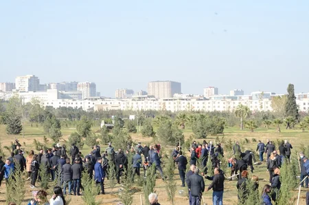 Bakıda Zəfər Günü münasibətilə ağacəkmə aksiyası keçirilib